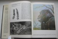 Лот: 18993117. Фото: 5. Большой иллюстрированный атлас...