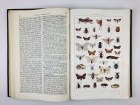 Лот: 23277239. Фото: 6. Малая советская энциклопедия в...