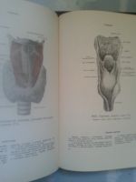 Лот: 16102977. Фото: 4. Атлас анатомии человека в 5-ти... Красноярск