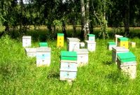 Лот: 4265934. Фото: 2. МеД с пасеки 100% натуральный... Продукты