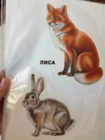 Лот: 23493398. Фото: 4. Развивающие карточки для детей. Красноярск