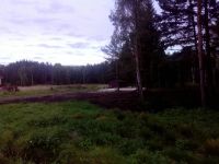 Лот: 5493025. Фото: 5. Участок на ст. Минино, 14 соток...