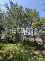 Лот: 25289573. Фото: 3. 1-комн. дача , садоводческое некоммерческое... Недвижимость