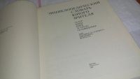 Лот: 10068880. Фото: 2. (109234)(2092317) Энциклопедический... Искусство, культура