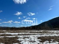 Лот: 25294813. Фото: 4. участок , село Нарва село Нарва... Красноярск