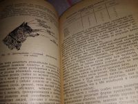 Лот: 17282868. Фото: 7. ок (01..01) Шерешевский Э., Арманд...