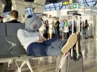 Лот: 3592483. Фото: 4. Подушка страуса. Красноярск