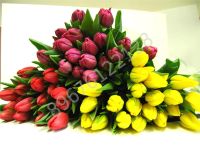 Лот: 2557969. Фото: 2. ТЮЛьПАНЫ опт. Готовый бизнес