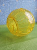 Лот: 7878553. Фото: 2. Прогулочный шар для грызунов-12... Животные и уход