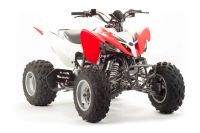 Лот: 16058113. Фото: 3. Квадроцикл Motoland ATV 250S. Авто, мото, водный транспорт