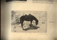 Лот: 20992702. Фото: 9. Альбом Великая война в образах...