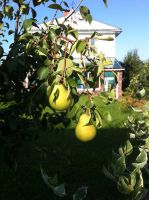 Лот: 800610. Фото: 5. Коттедж на Плодово-Ягодной