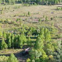 Лот: 16050603. Фото: 5. Мёд с лугового дикорастущего разнотравья...