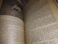 Лот: 17282868. Фото: 4. ок (01..01) Шерешевский Э., Арманд... Красноярск