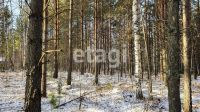 Лот: 25295122. Фото: 10. участок , посёлок городского типа...