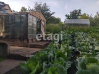 Лот: 25293033. Фото: 6. 1-комн. дача , СНТ Надежда СНТ...