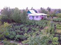 Лот: 1063279. Фото: 3. продам дачу в черте города. Недвижимость