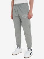 Лот: 23594993. Фото: 2. Брюки мужские PUMA, Серый. Спортивная одежда