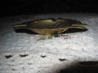 Лот: 17211186. Фото: 2. Винтажная пепельница латунь Индия. Предметы интерьера