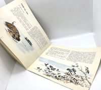 Лот: 25268877. Фото: 12. 📘 Виталий Бианки. Наши птицы...