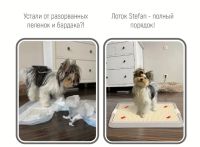 Лот: 20828515. Фото: 2. Туалет-лоток с сеткой для собак... Животные и уход