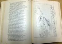 Лот: 16913478. Фото: 14. Гомер. Поэмы Гомера * Илиада и...