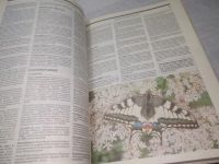 Лот: 25629734. Фото: 9. вбР(00-33)Книга рекордов Гиннесса...