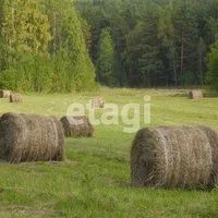 Лот: 17920207. Фото: 7. Продам участок. Код объекта: 6272205
