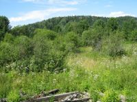 Лот: 17166124. Фото: 6. Участок 40 сот. (ИЖС), документы...