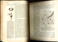 Лот: 18026605. Фото: 11. Кон А. Растение. (Популярные лекции...