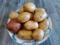 Лот: 20109356. Фото: 2. Картофель. Продукты