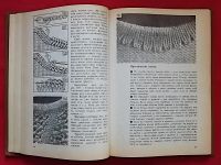 Лот: 25810427. Фото: 2. (№3821-У/LIII) книга "Энциклопедия... Дом, сад, досуг