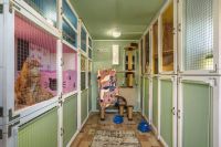 Лот: 23968554. Фото: 2. Зоогостиница передержка для кошек... Услуги