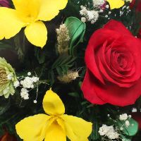 Лот: 7053501. Фото: 2. Шикарный подарок. Цветы в вакууме... Цветы, букеты
