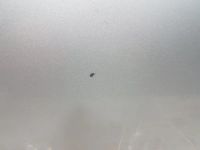 Лот: 20898392. Фото: 9. Дверь боковая Toyota Allion NZT260...