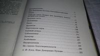 Лот: 9908780. Фото: 3. Преступления раскрытые И. Д. Путилиным... Литература, книги