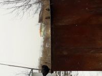 Лот: 12596840. Фото: 2. Покормите птиц в своем дворе... Животные и уход