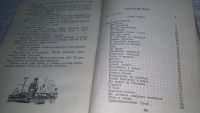 Лот: 11105064. Фото: 3. Чукотка, Тихон Семушкин, Изд... Красноярск