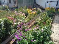 Лот: 25605341. Фото: 4. 2-комн. дача , СНТ Утро-2 СНТ... Красноярск