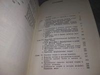 Лот: 18405823. Фото: 4. Андреев, И.Д. теория как форма... Красноярск