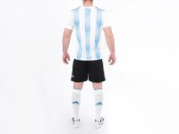 Лот: 11529738. Фото: 3. Футбольная форма Adidas сборная... Одежда, обувь, галантерея