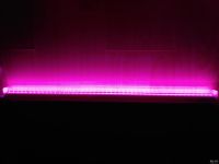 Лот: 17345624. Фото: 2. Фито лампа для растений.,. Освещение