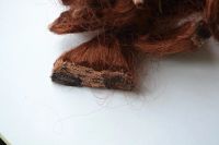 Лот: 9905363. Фото: 2. Шиньон (пряди)для волос красно-каштановые. Аксессуары