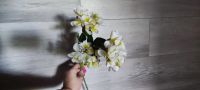 Лот: 23523558. Фото: 4. Искусственные цветы. Ветка яблони... Красноярск