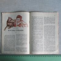 Лот: 18357103. Фото: 3. Журнал Юный натуралист N 5 май... Литература, книги