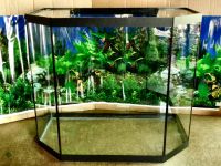 Лот: 6800828. Фото: 2. Аквариум панорама высокая 79л. Аквариумистика