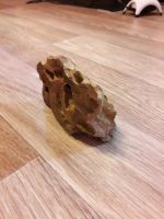 Лот: 11455388. Фото: 3. Камень "Дракон". Растения и животные