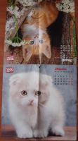 Лот: 10389550. Фото: 3. Календарь настенный Кошки и Котята... Коллекционирование, моделизм