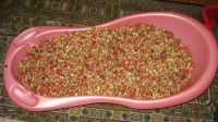 Лот: 2989761. Фото: 2. Лесная Клубника. Продукты