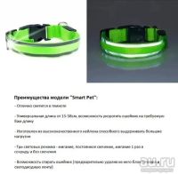Лот: 13275140. Фото: 3. Светящийся ошейник для животных... Растения и животные